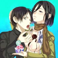 attack_on_titan_-_mikasa_x_eren_20130914_006.jpg
